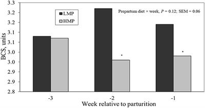 Metabolic Responses to Epinephrine by Periparturient Dairy Cows Fed Prepartum Diets Differing in Predicted Metabolizable Protein Supply
